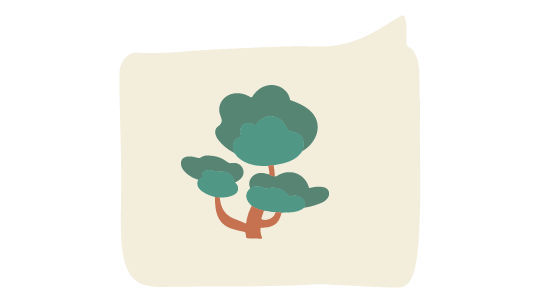 Liste des bois exotiques pour le chantournage