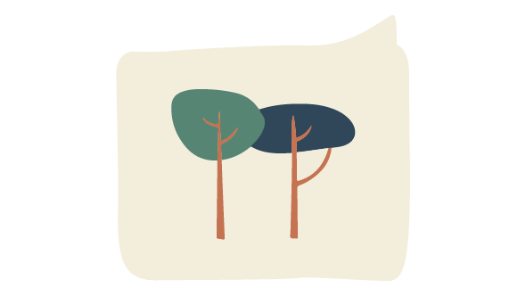 Quelles essences de bois pour le chantournage ?